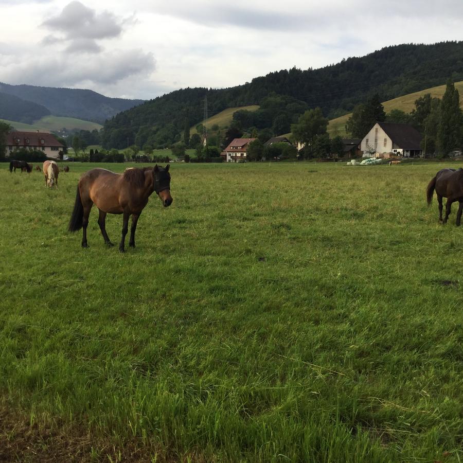Fewo Bella Margitta Baumann Stegen Exterior foto